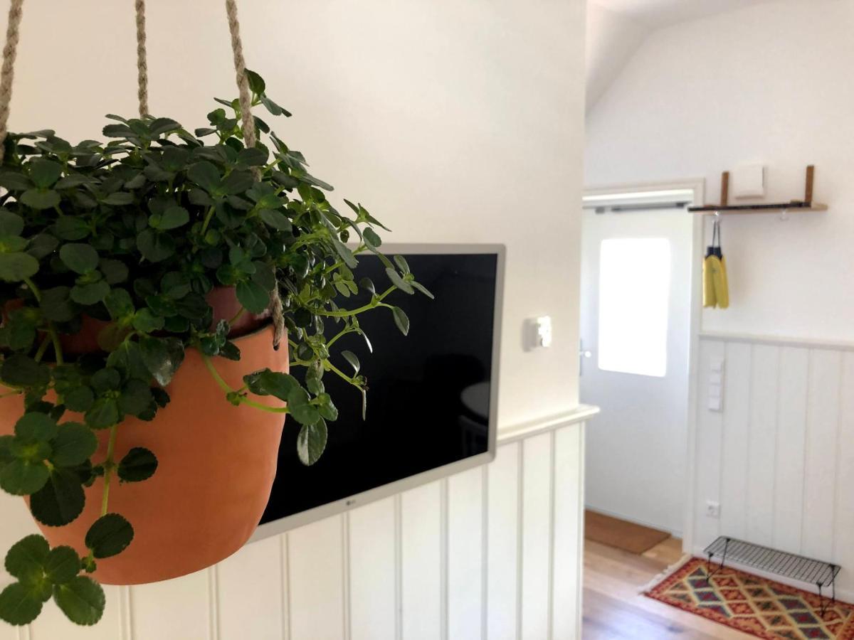 Ferienwohnung Kleiner Onkel 울딘겐물호펜 외부 사진